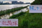 乐鱼体育平台-联赛还剩七轮！申花要逆天改命 主场打山东+成都 要不输球才行